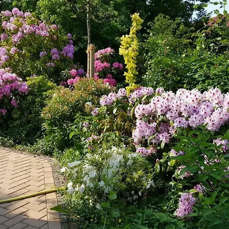 Haus Iffland * 圣彼得奥尔丁