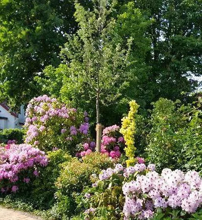 Haus Iffland Daire