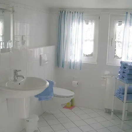 Haus Iffland 公寓 *